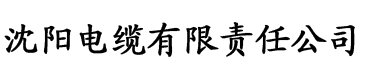 动漫精品中文字幕无码第一页电缆厂logo